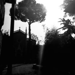 Trees by built structure against sky