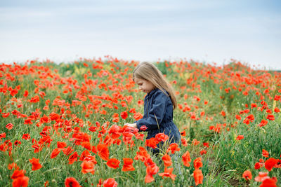 Rear view of person on poppy field against sky