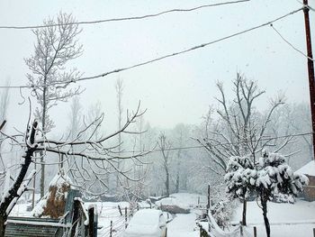 Snow covered plants against sky