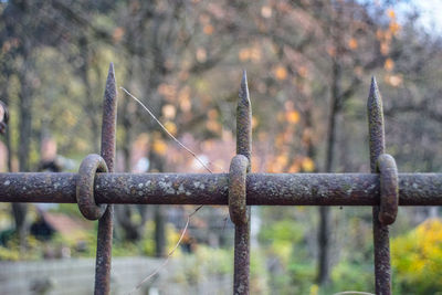 Close-up of rusty metal