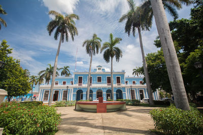 Facade of house and palm trees against sky