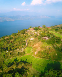 High angle view of trees on landscape against sky