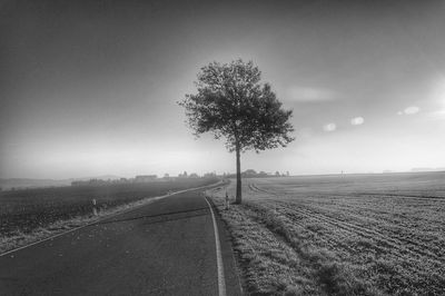 Road passing through field