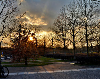 Bare trees at sunset