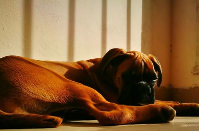 Man sleeping on sofa at home