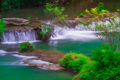 Scenic view of waterfall in forest