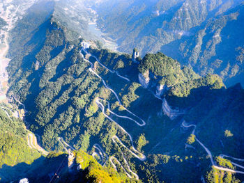 Aerial view of land and trees in forest