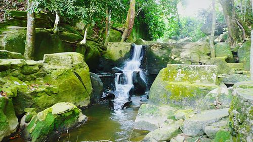 Stream flowing through rocks in forest