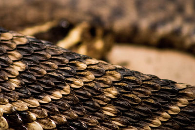 Detail shot of bread on wood