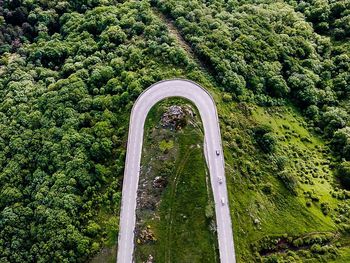 High angle view of road amidst trees in forest