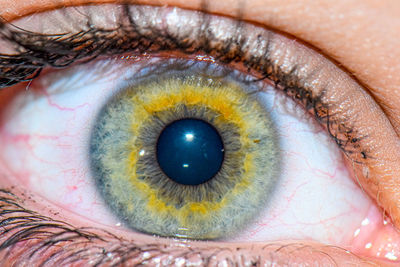 Cropped image of human eye