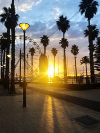 Silhouette palm trees by street against sky during sunset