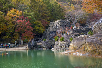 Scenic view of lake by trees during autumn