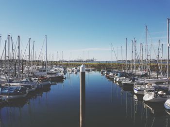 Sailboats moored in harbor