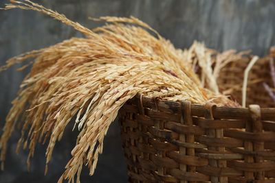 Close-up of crops in wicker basket outdoors