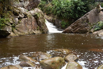 Close-up of rocks in water