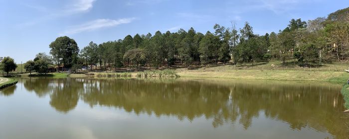 Reflection of trees in lake against sky