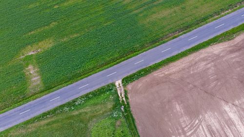 High angle view of agricultural field