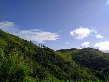 Scenic view of green landscape against sky