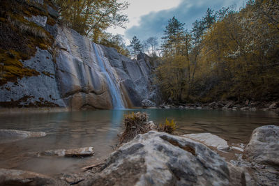 Scenic view of waterfall in forest