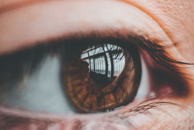 Close-up of woman eye