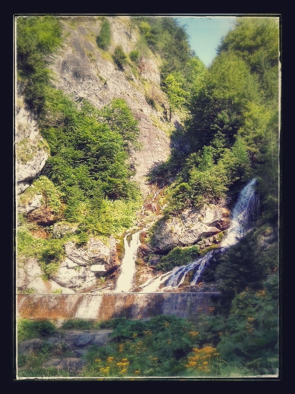 transfer print, auto post production filter, rock - object, nature, tree, water, tranquility, stream, forest, beauty in nature, tranquil scene, rock, scenics, day, plant, outdoors, growth, rock formation, no people, high angle view