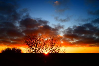 Silhouette bare tree against sky during sunset