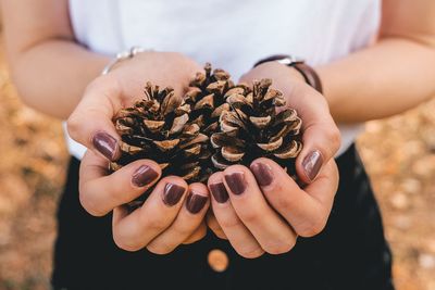 Midsection of woman holding pine cones while standing on field