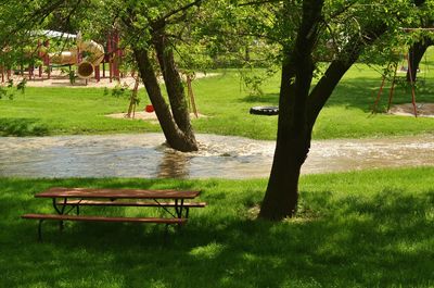 Empty bench in park