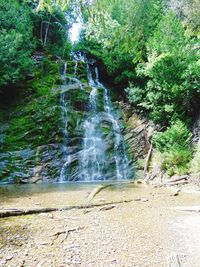 Waterfall in forest