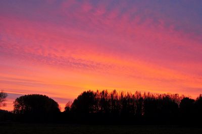 Silhouette trees against dramatic sky during sunset