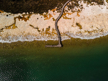 High angle view of tree by sea