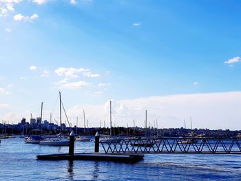 Sailboats moored in harbor against sky