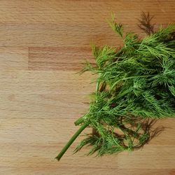 High angle view of leaf on table