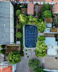 Directly above shot of buildings and trees