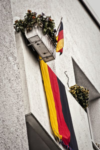 Low angle view of flag on flower