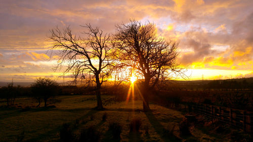 Sunset over landscape