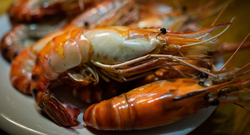 High angle view of food in plate