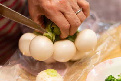 Close-up of hand holding vegetables