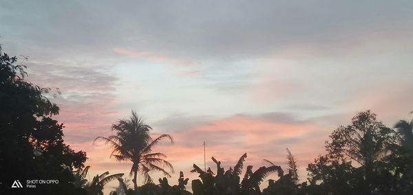 Low angle view of silhouette trees against sky at sunset