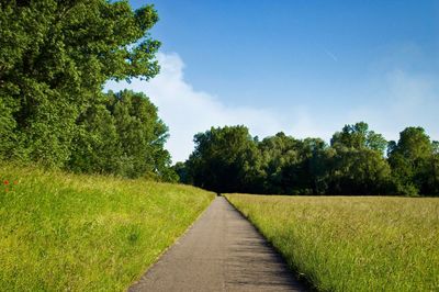 Empty road amidst trees on field against sky