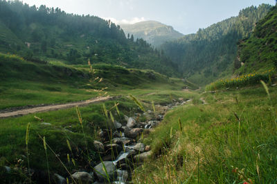 Scenic view of landscape against sky