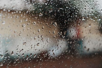 Close-up of moist in a glass window. 