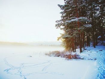 Scenic view of snow covered landscape