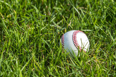 Close-up of baseball on grassy field