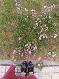 Low section of woman standing on flower