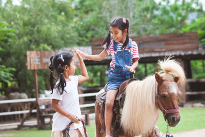 Girl high-fiving sister while sitting on pony at farm