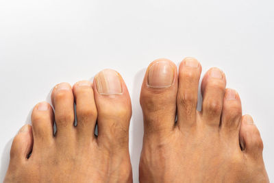 Close-up of hands against white background