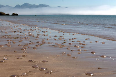 Scenic view of beach against sky