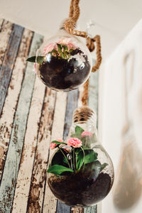 Close-up of potted plant on table